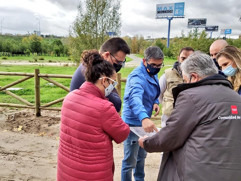 medio ambiente, corredor verde, sostenibilidad, árboles, absorción CO2,
