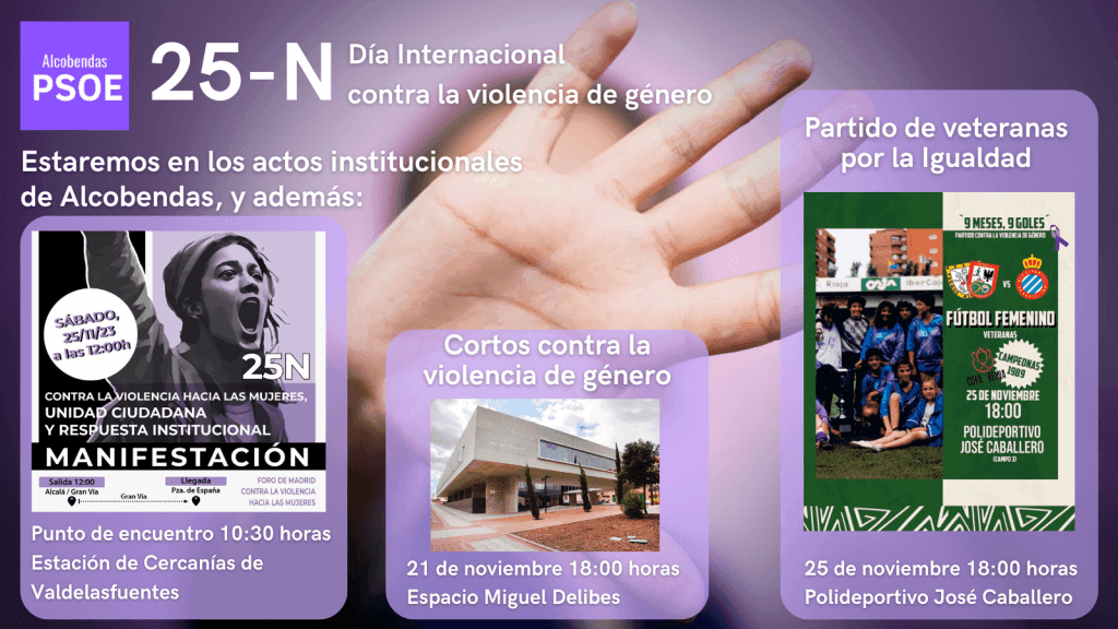 25 de noviembre, Día Internacional contra la Violencia de Género - PSOE ...